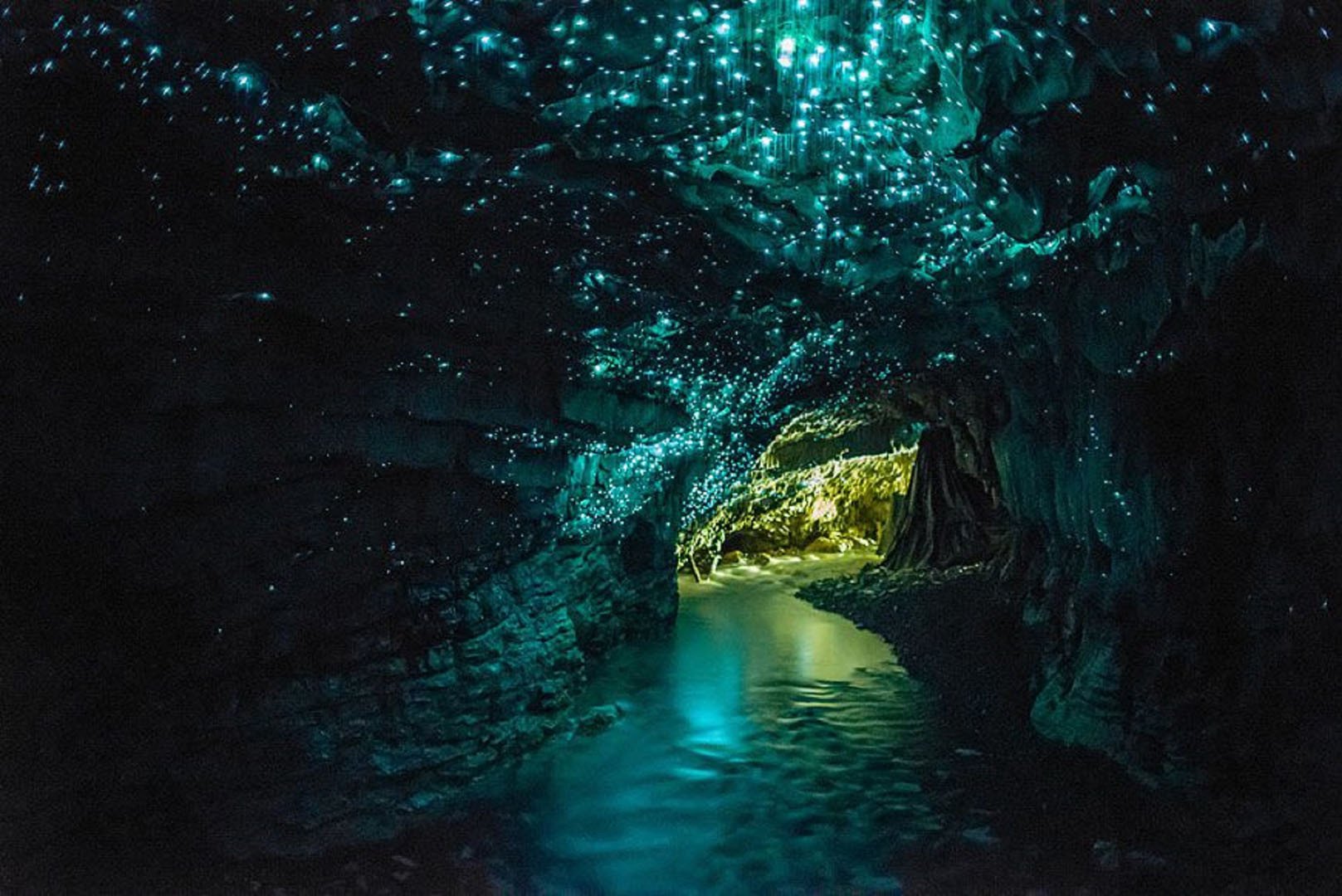 Kawiti Glow Worm Caves