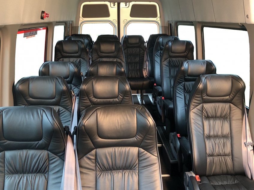 Best Tour Guide in NZ