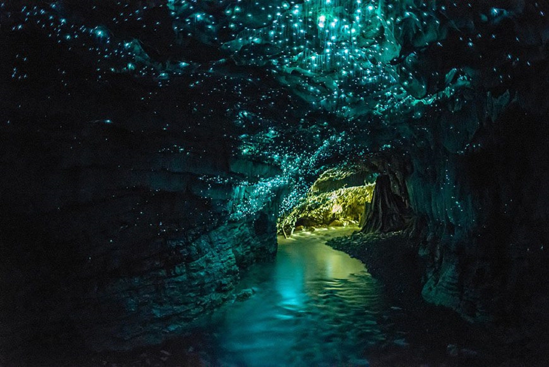 waitomo and hobbiton Glowworms