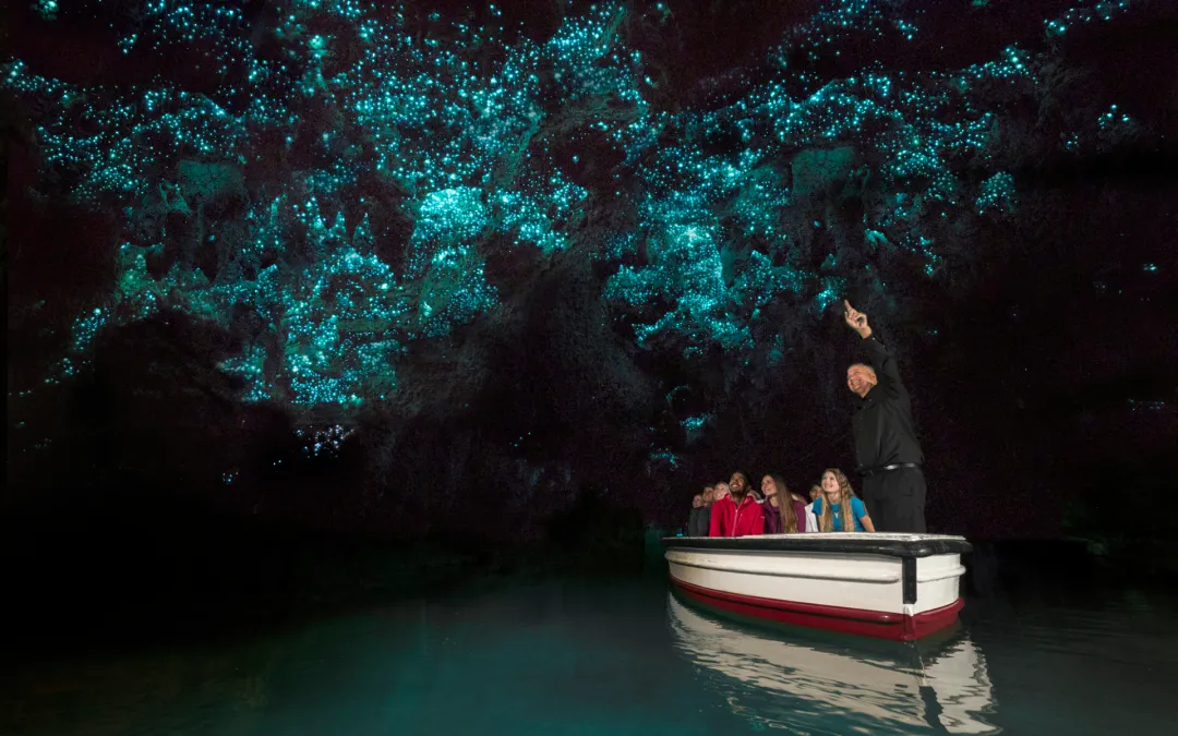 Waitomo Glowworm Caves