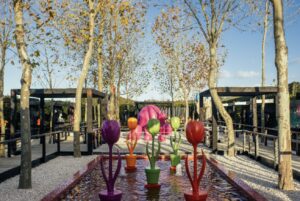 Luxury Private tours NZ