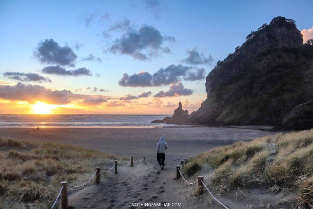 Piha Beach NZ