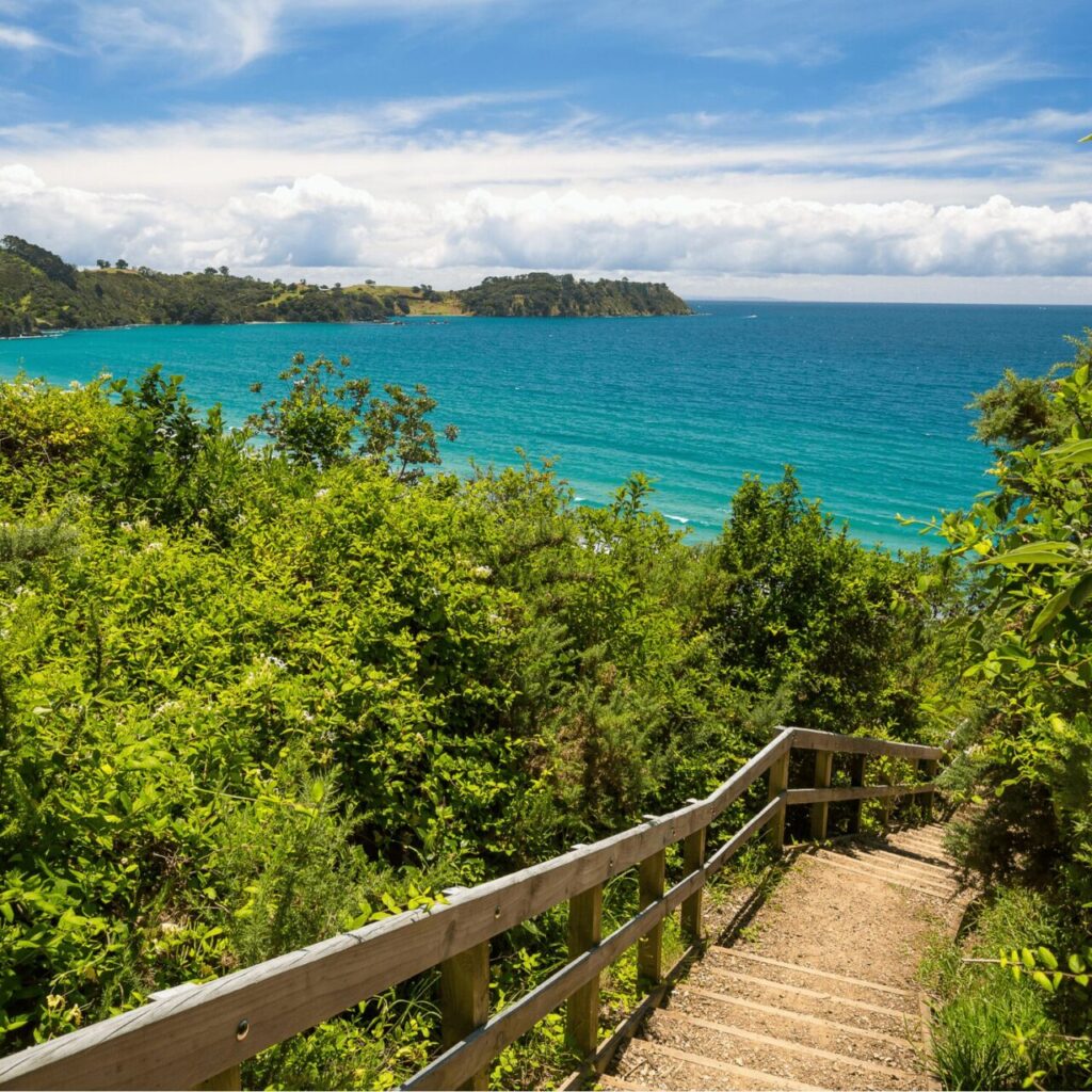 waiheke island2-min